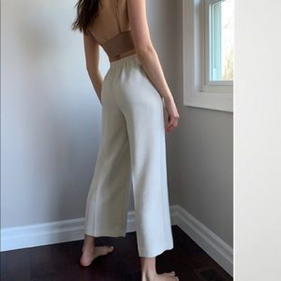 Aritzia Atticus Pant - Picture 2 of 5